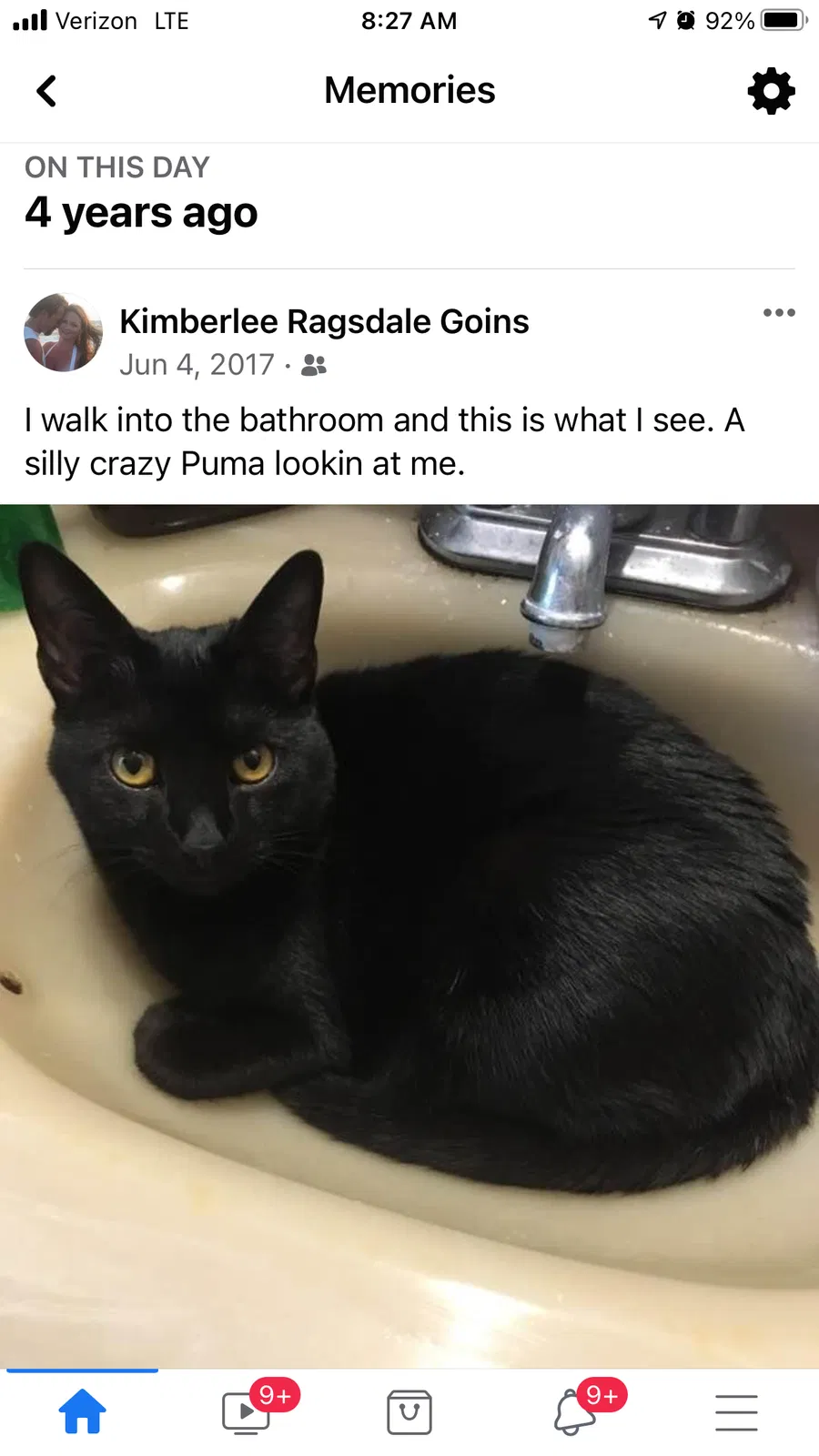 Lost cat in Mechanicsville, VA, 23111