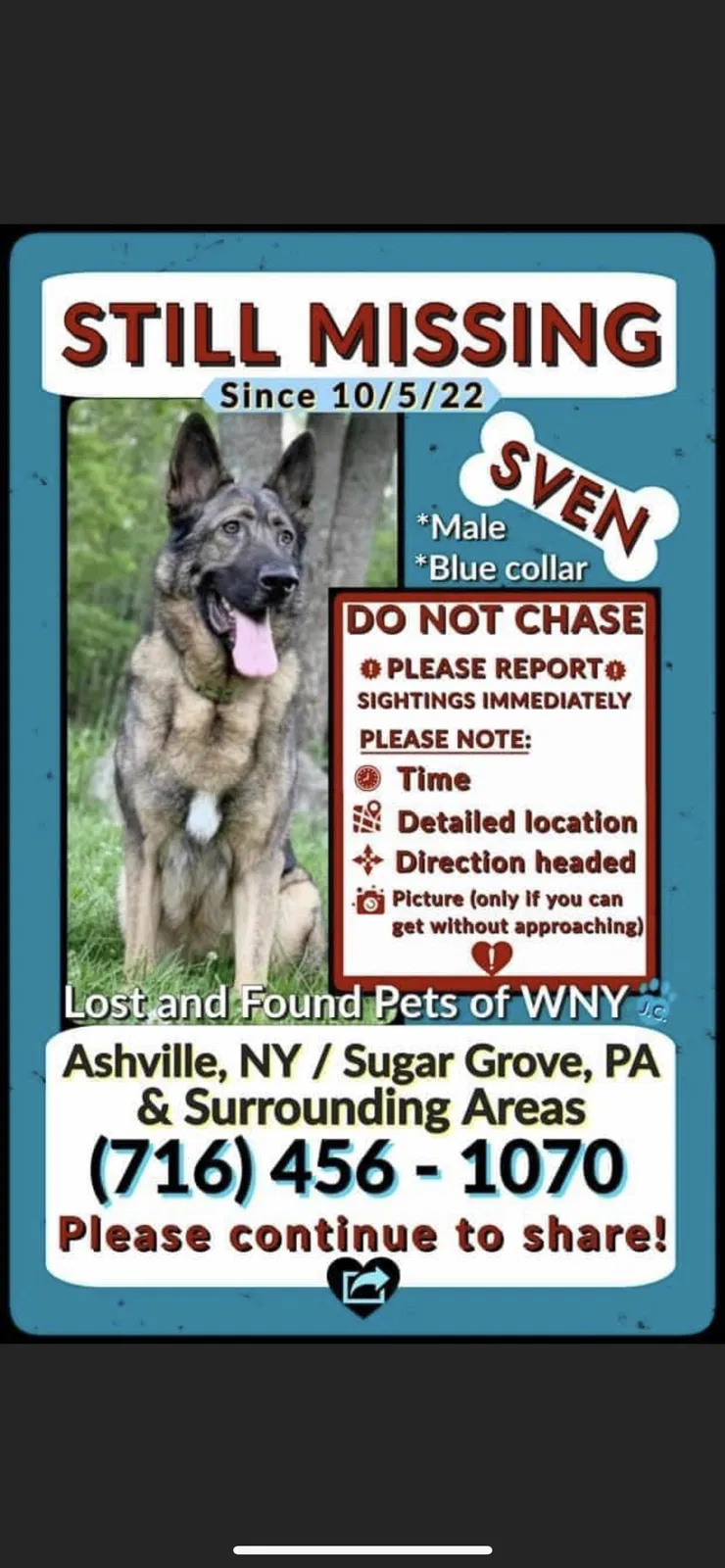 Lost dog in Ashville, NY, 14710
