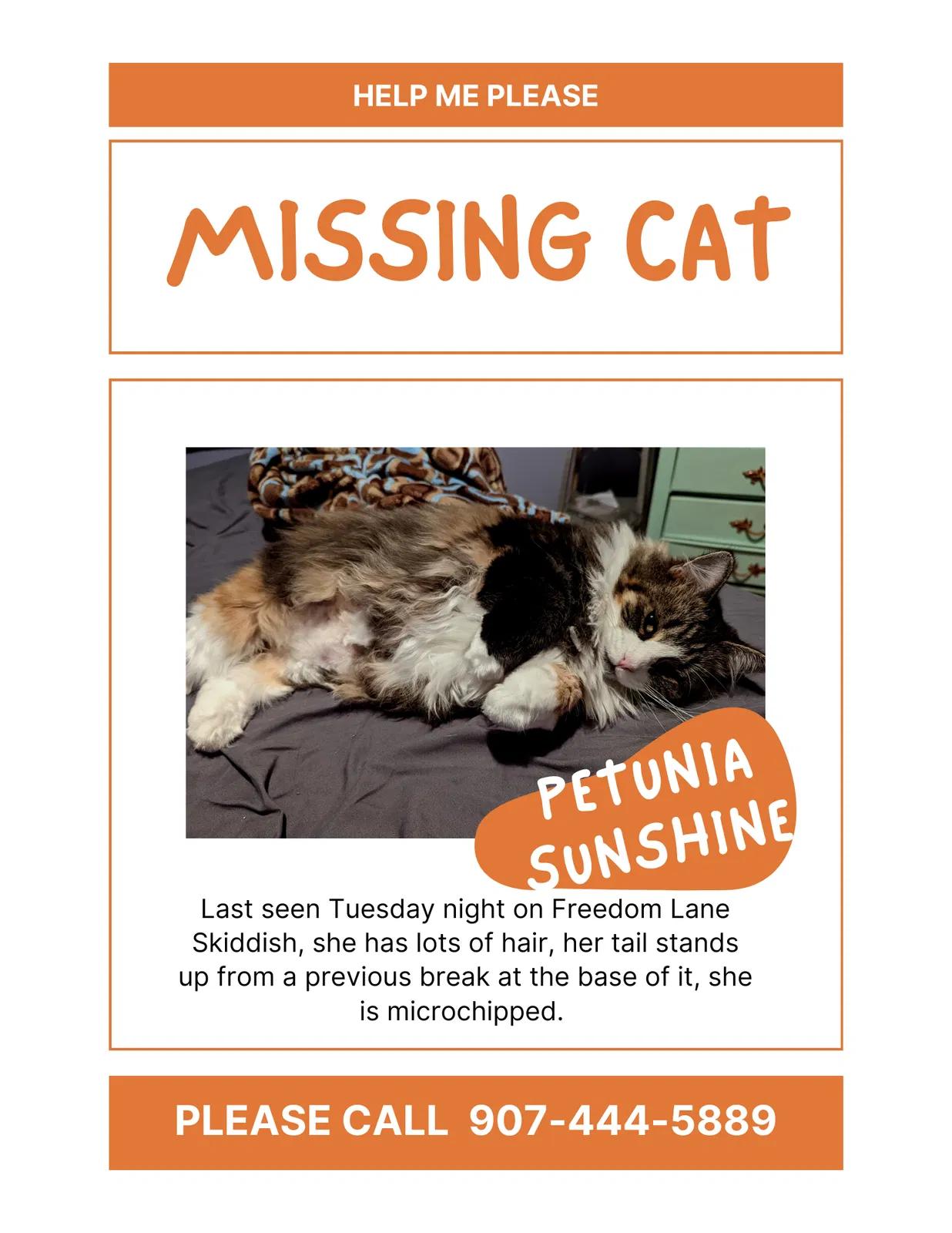 Lost cat in Wasilla, AK, 99654