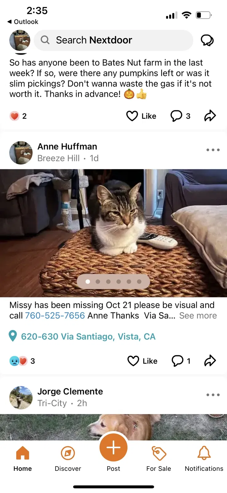 Lost cat in Vista, CA, 92081