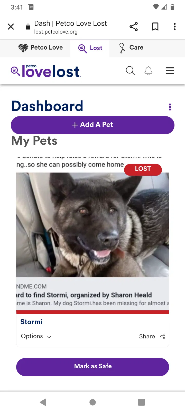Lost dog in Detroit, MI, 48204