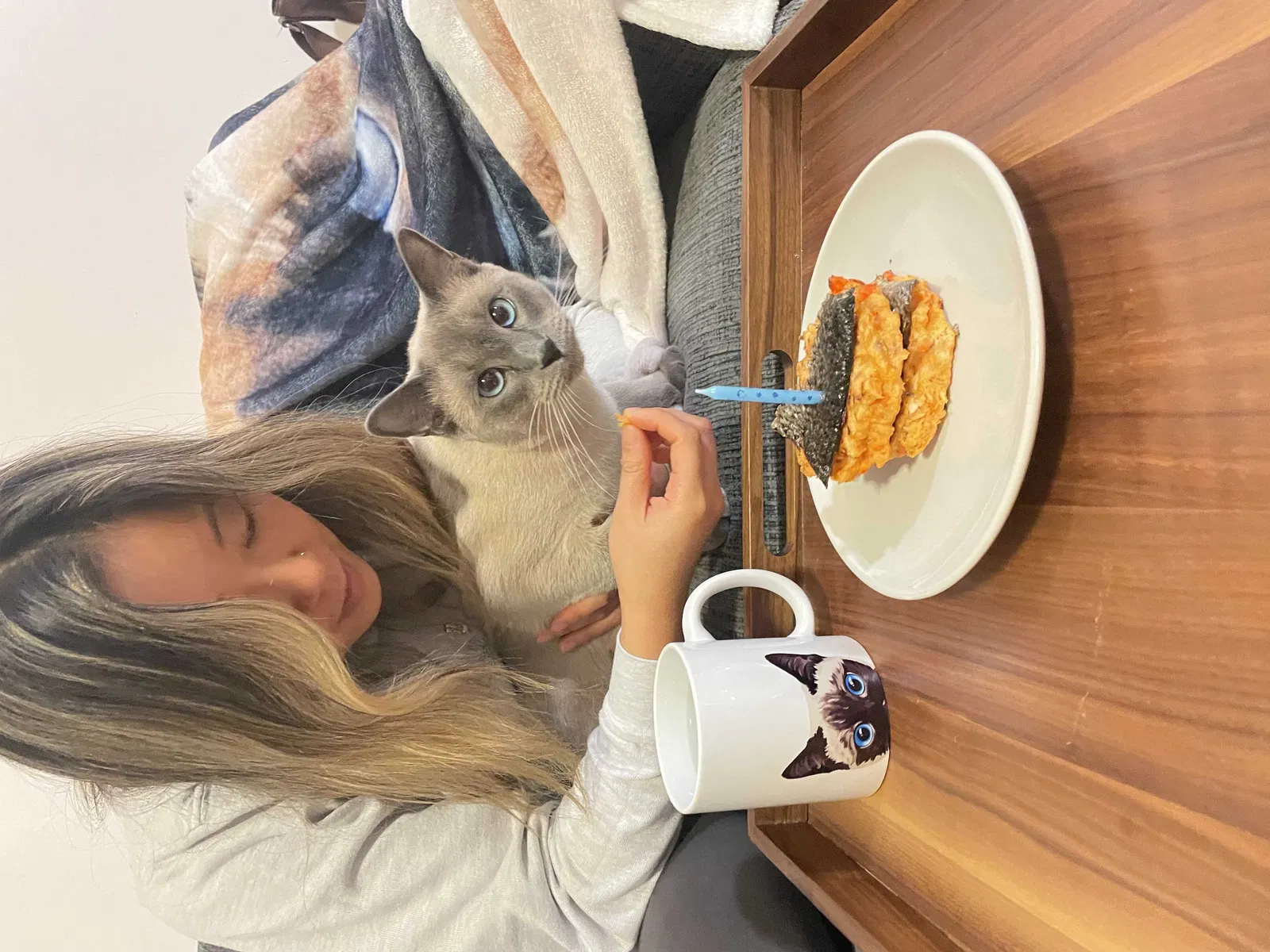 Lost cat in Orinda, CA, 94563