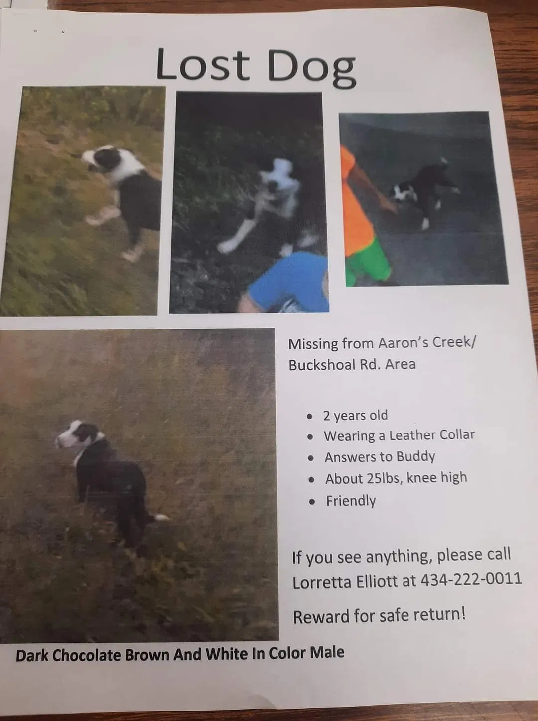 Lost dog in Virgilina, VA, 24598