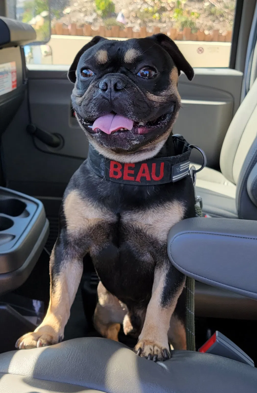 Lost dog in Duarte, CA, 91010
