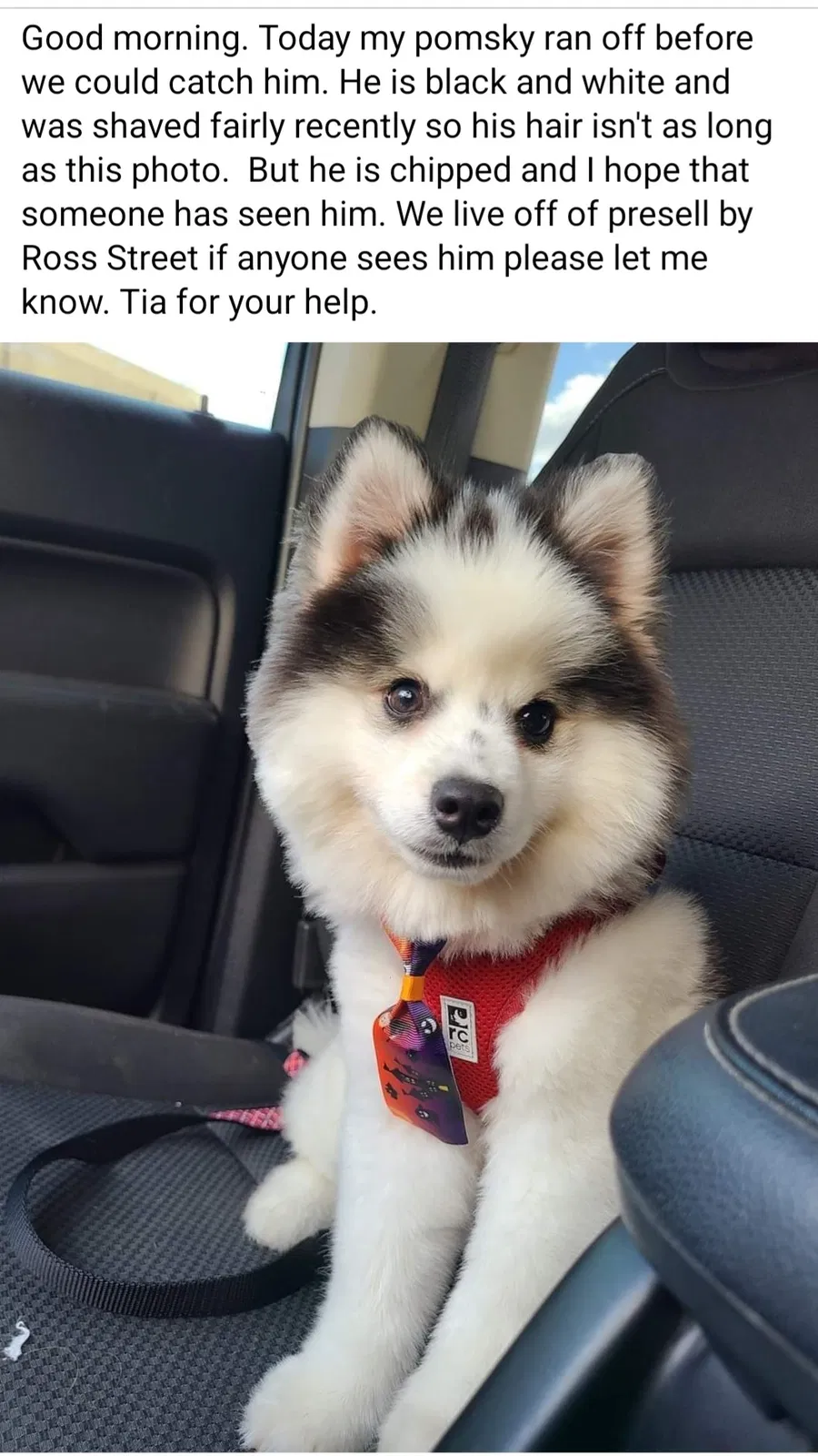 Lost dog in Asheboro, NC, 27203