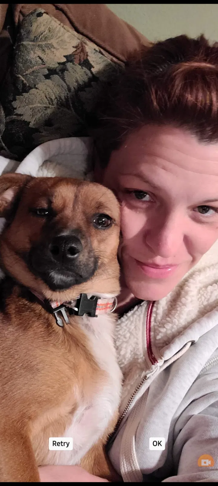 Lost dog in Englewood, CO, 80110