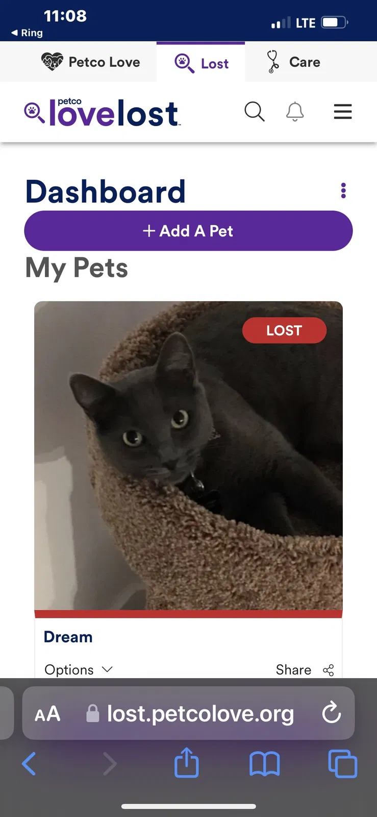 Lost cat in Surprise, AZ, 85387