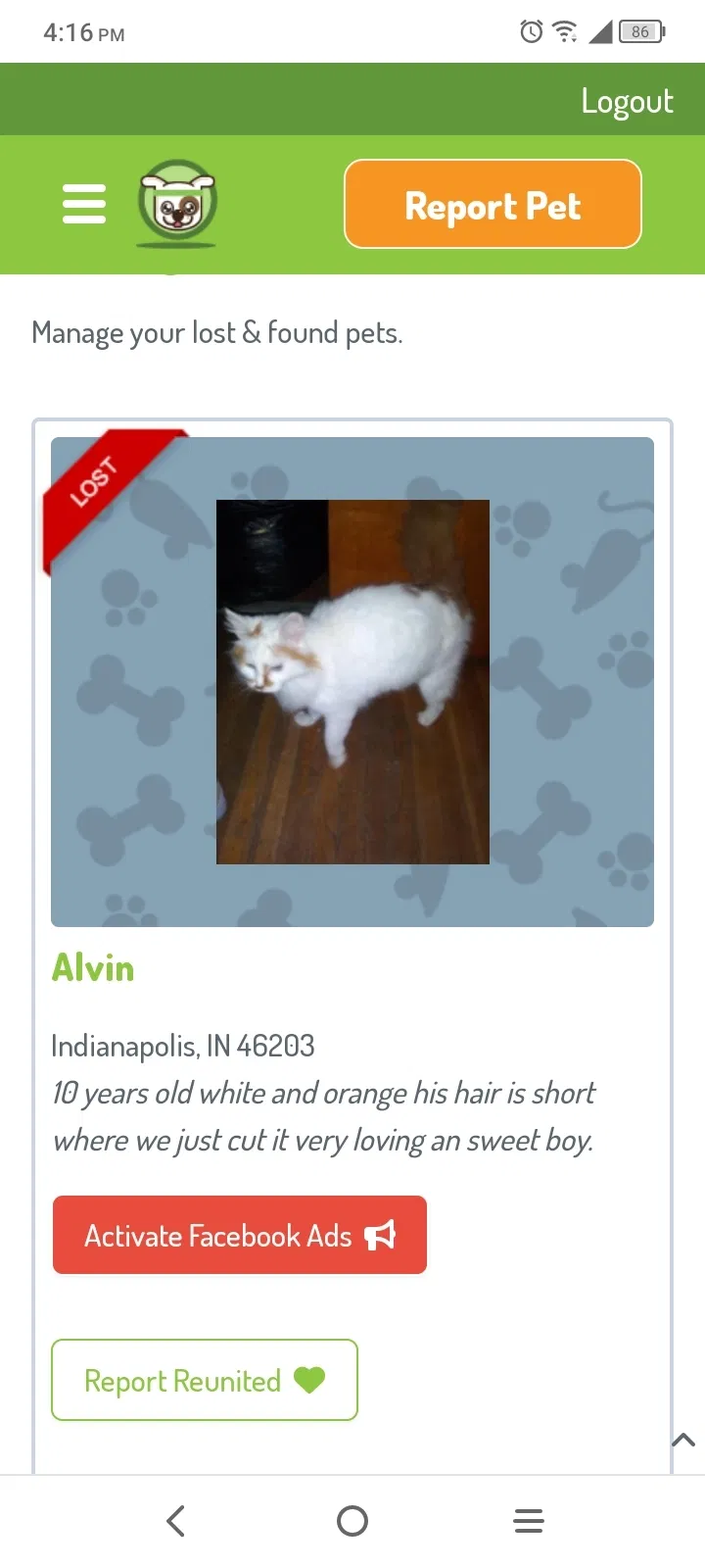 Lost cat in Indianapolis, IN, 46203
