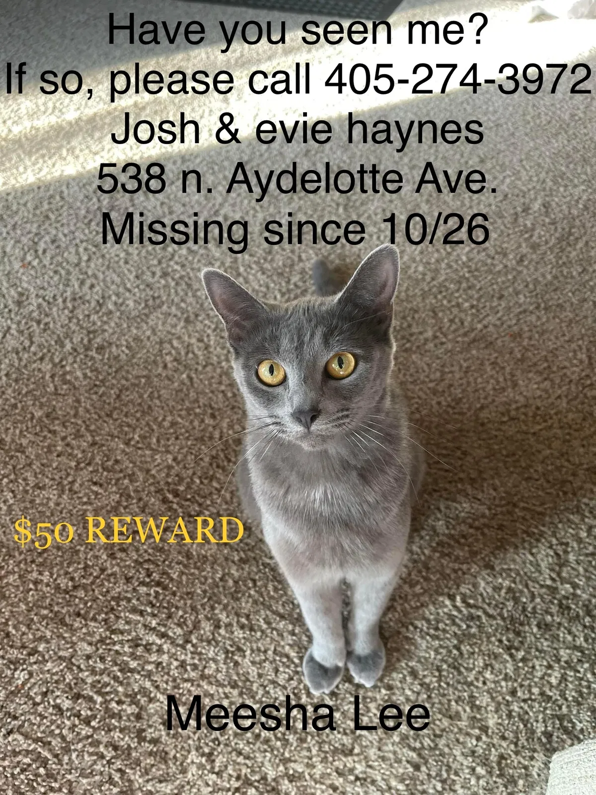Lost cat in Shawnee, OK, 74801