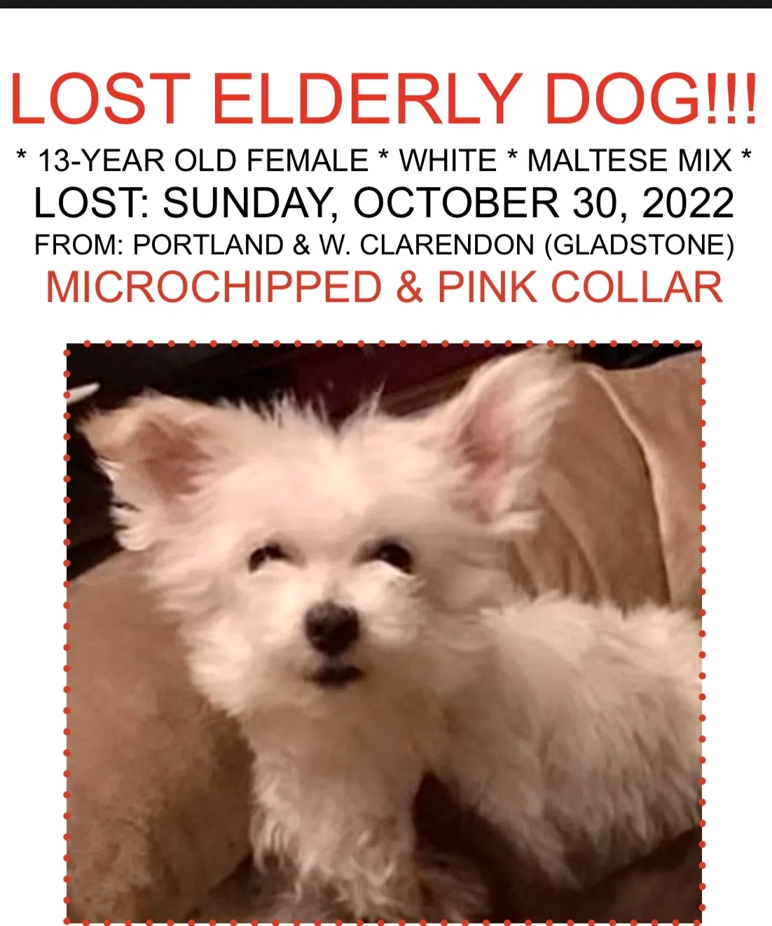 Lost dog in Gladstone, OR, 97027
