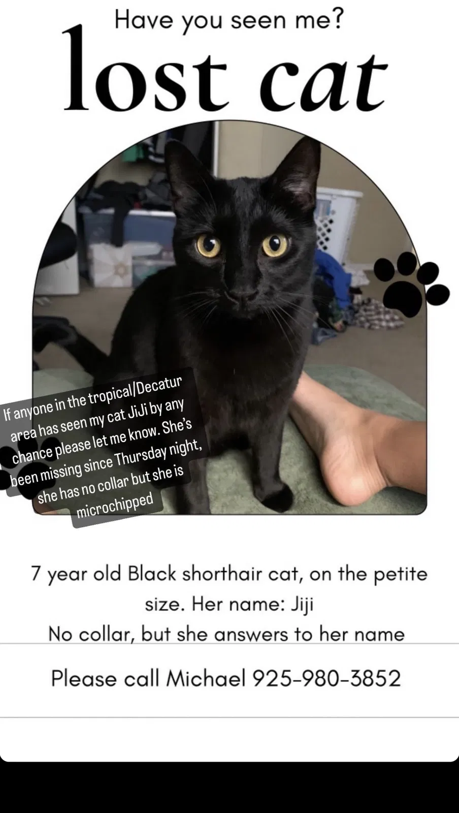 Lost cat in North Las Vegas, NV, 89031