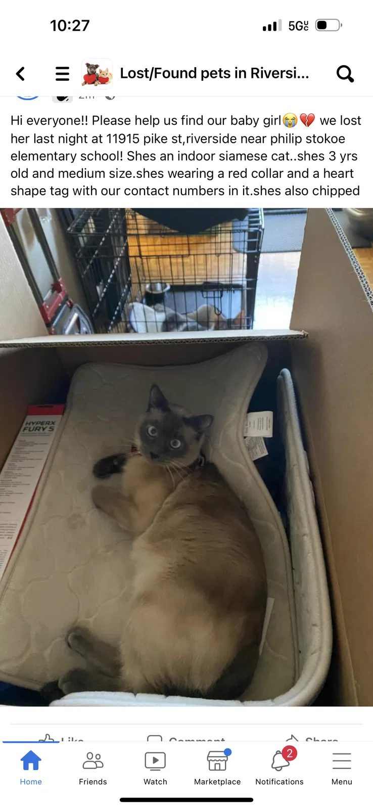 Lost cat in Riverside, CA, 92505