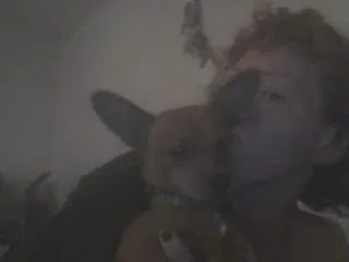 Lost dog in Red Oak, TX, 75154