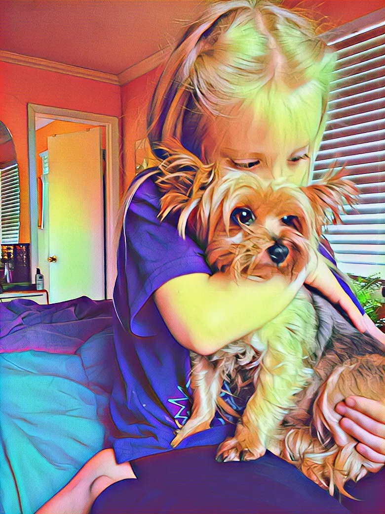Lost dog in Dandridge, TN, 37725