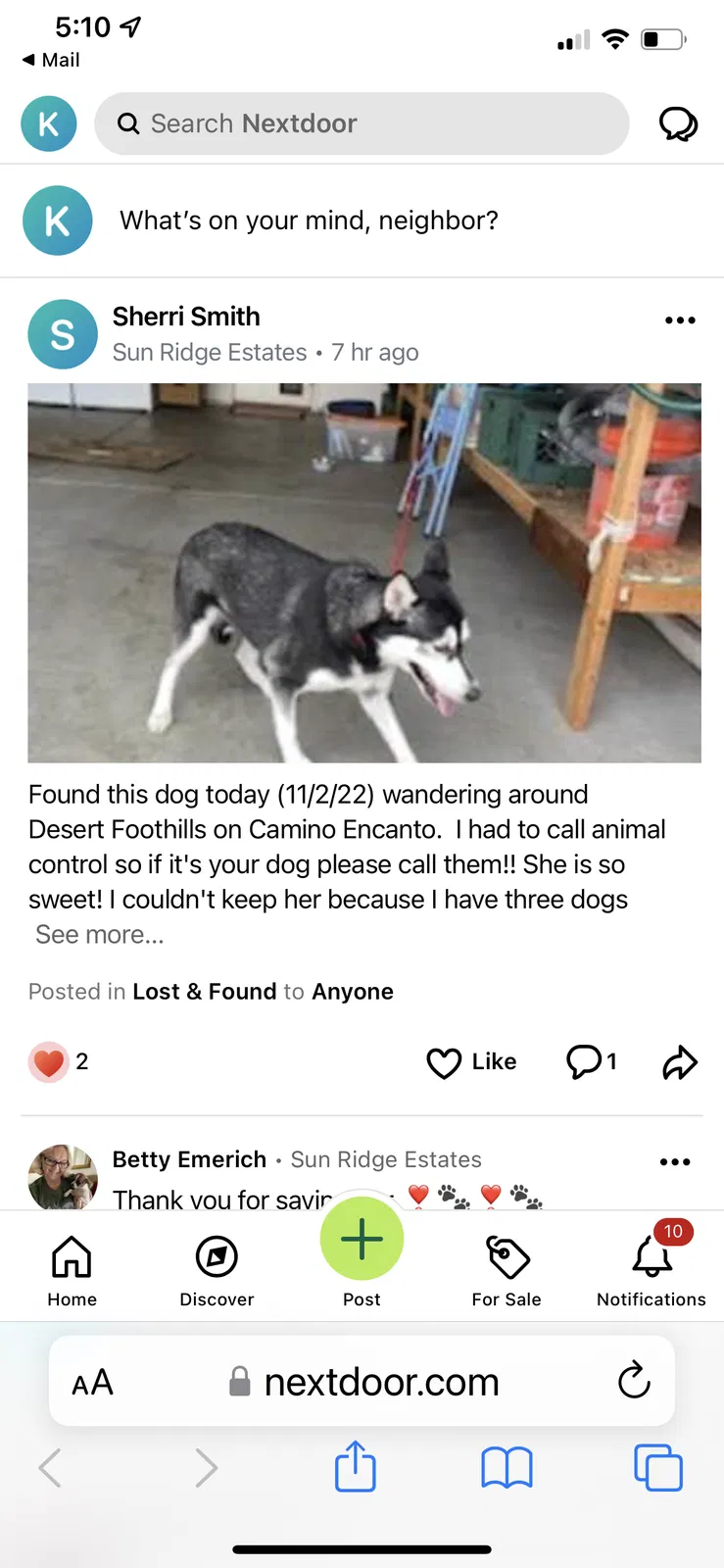 Found dog in Bullhead City, AZ, 86429