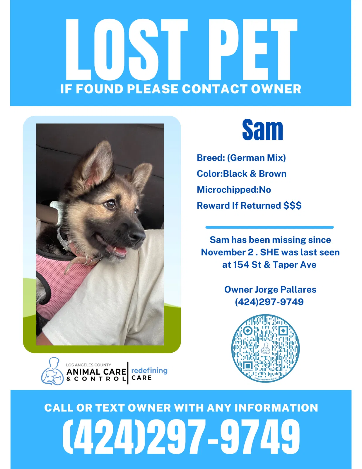 Lost dog in Compton, CA, 90220