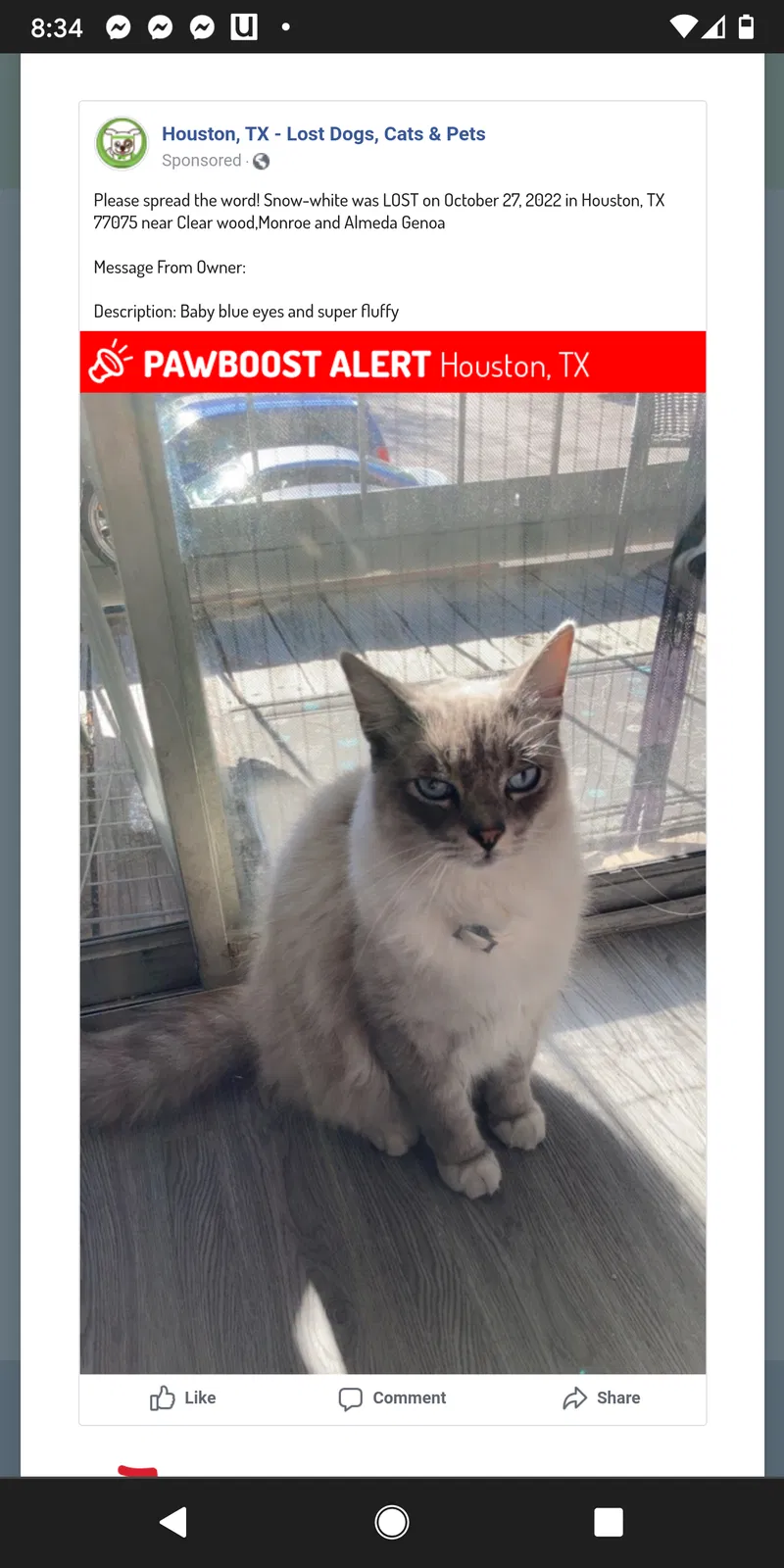 Lost cat in Houston, TX, 77075