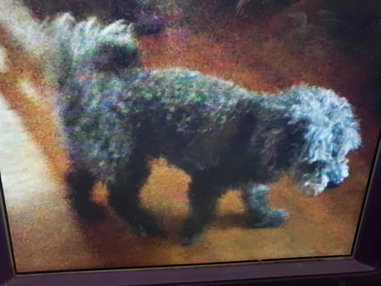 Lost dog in Las Vegas, NV, 89101