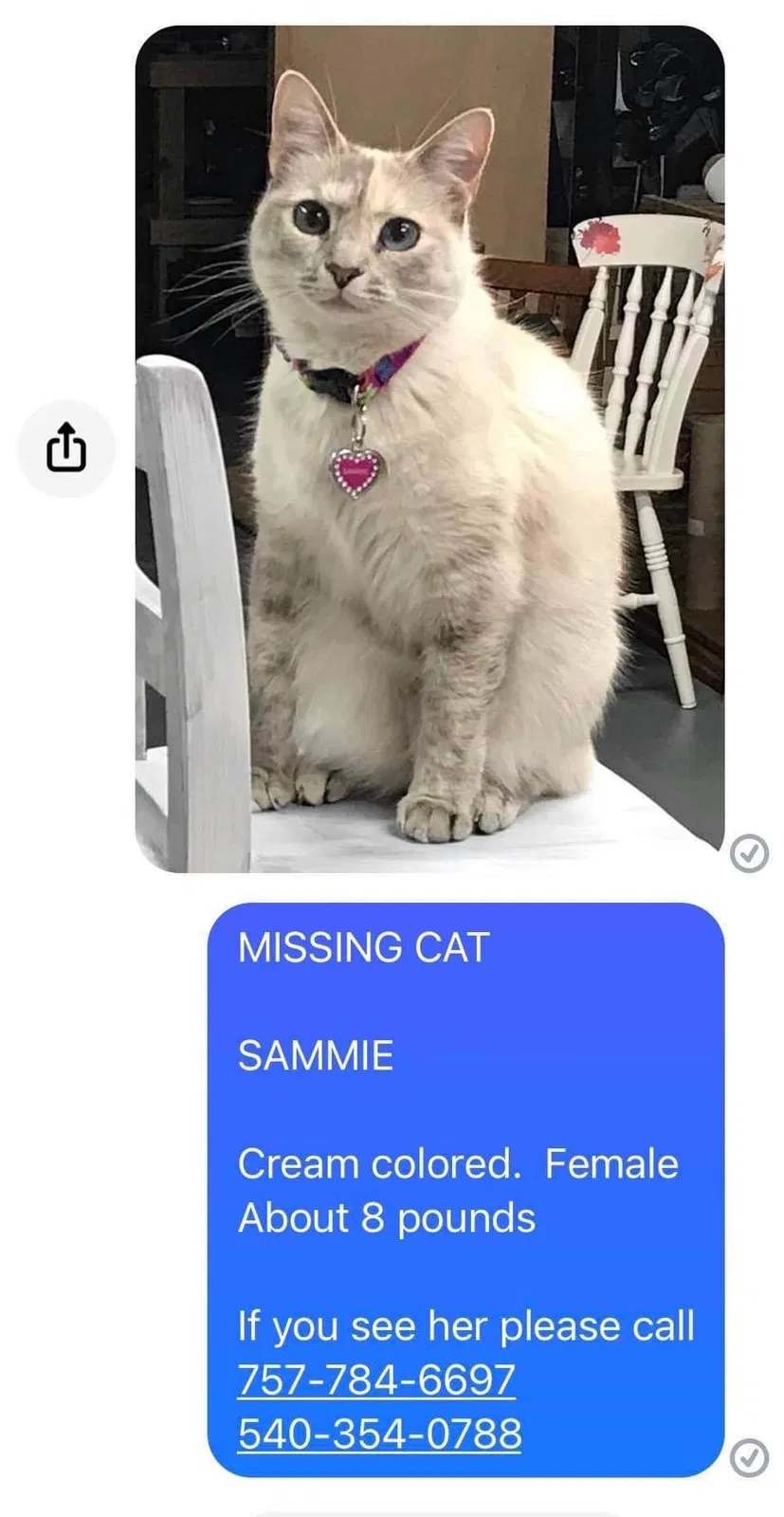 Lost cat in Manakin Sabot, VA, 23103