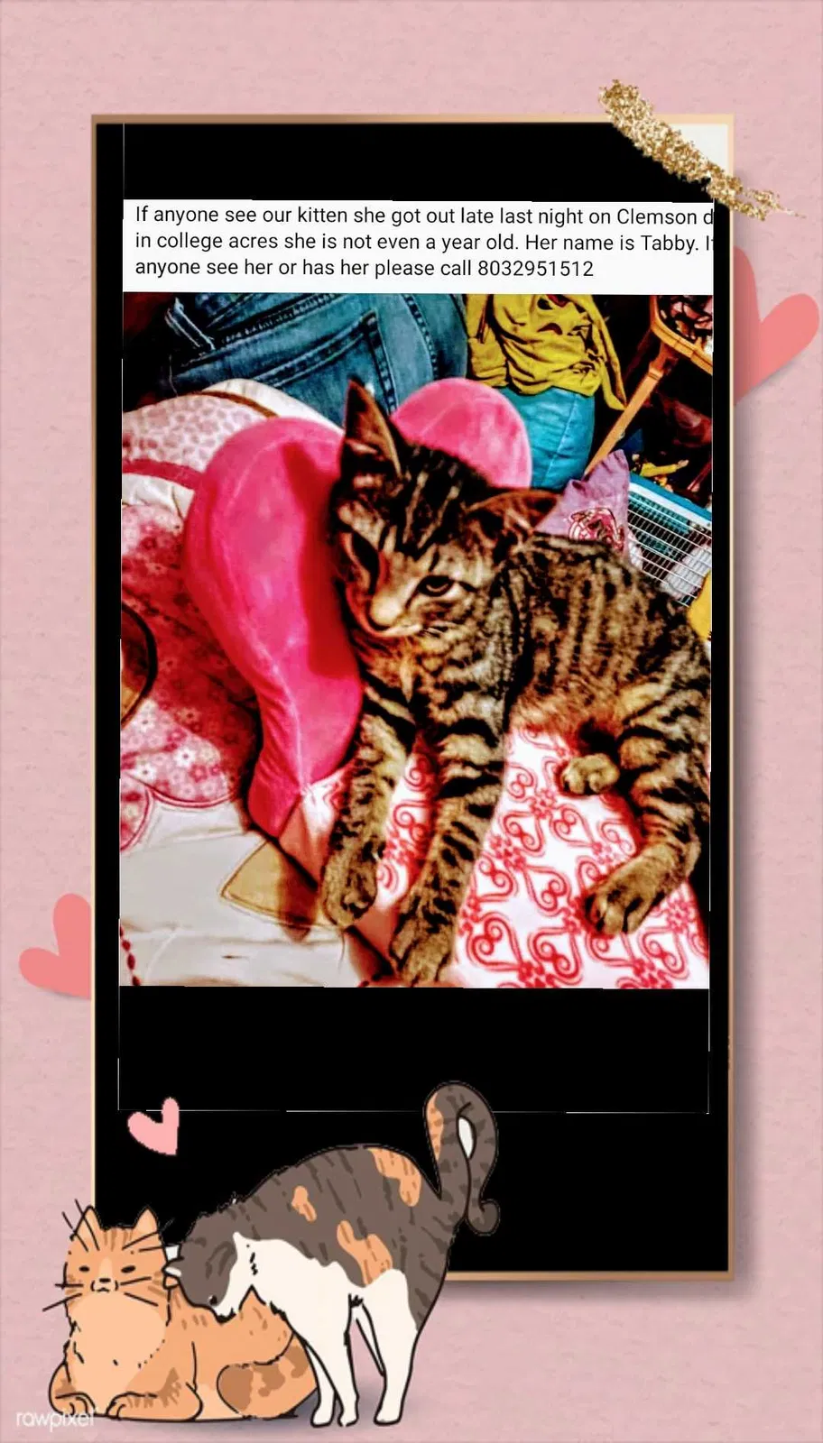 Lost cat in Aiken, SC, 29803