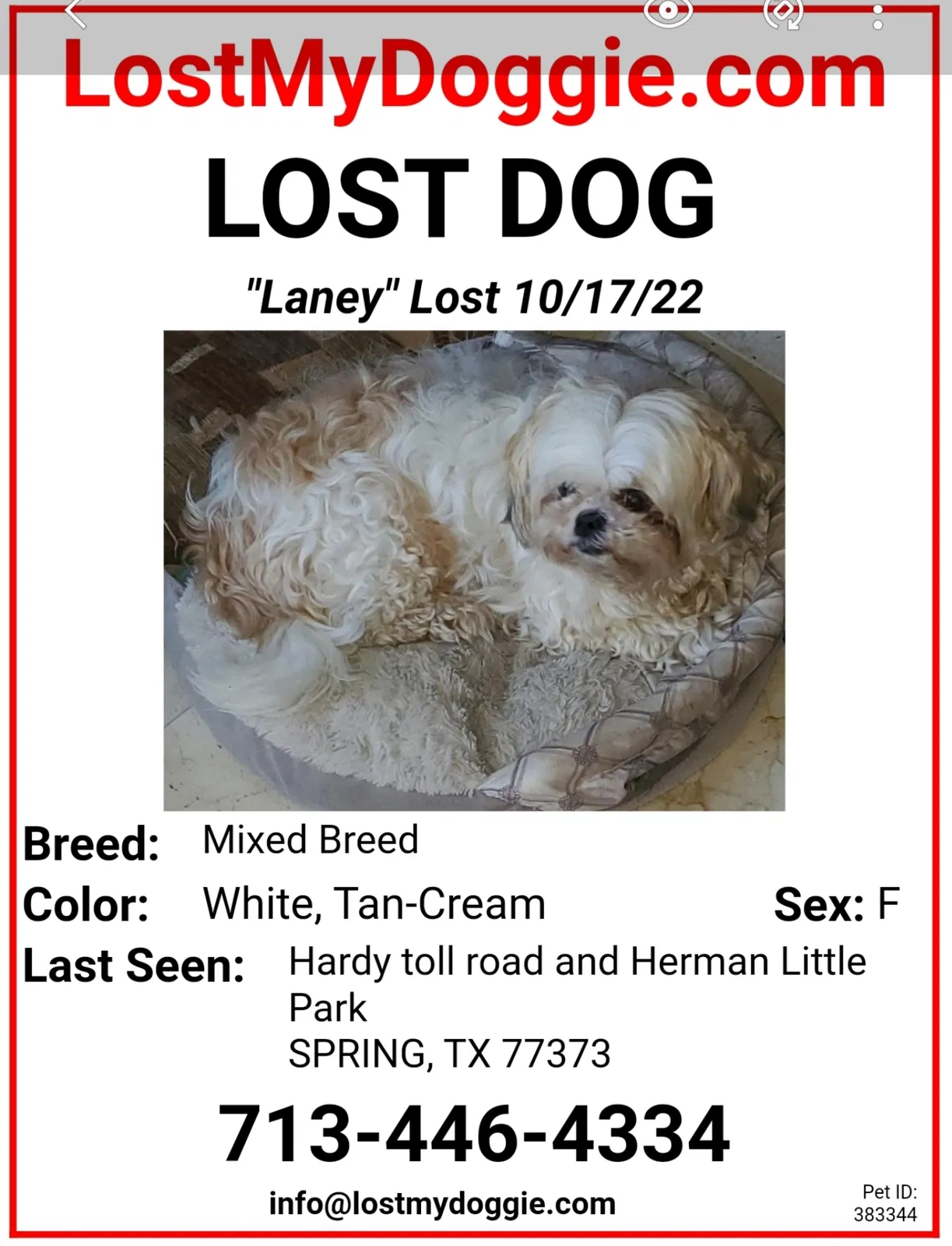 Lost dog in Spring, TX, 77373