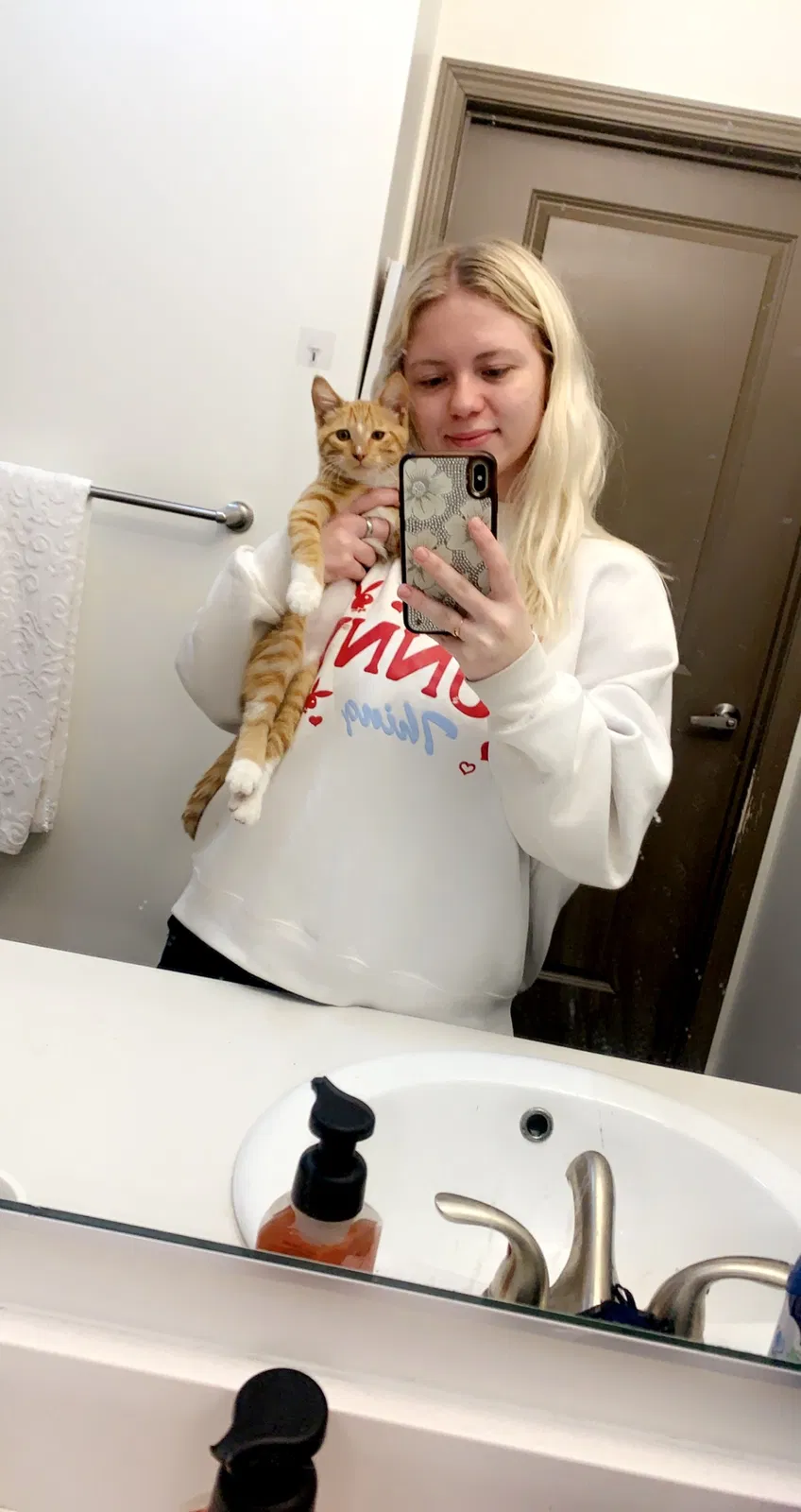 Lost cat in Bennington, NE, 68007