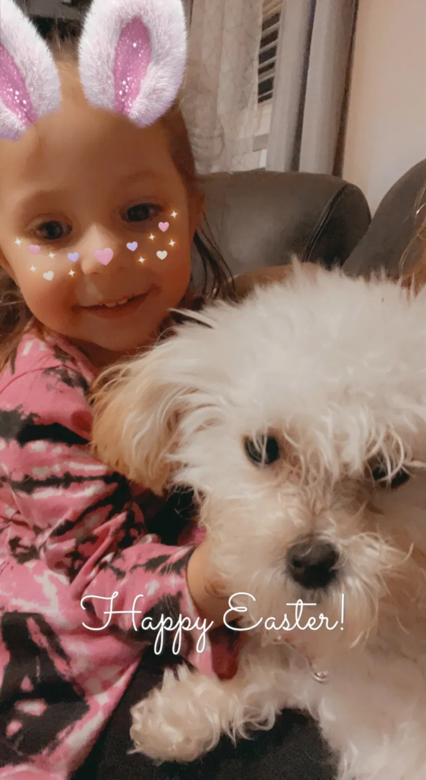 Lost dog in Hampton, VA, 23669