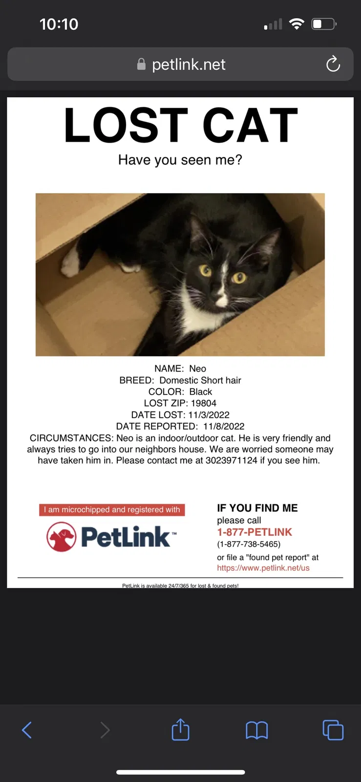 Lost cat in Wilmington, DE, 19804