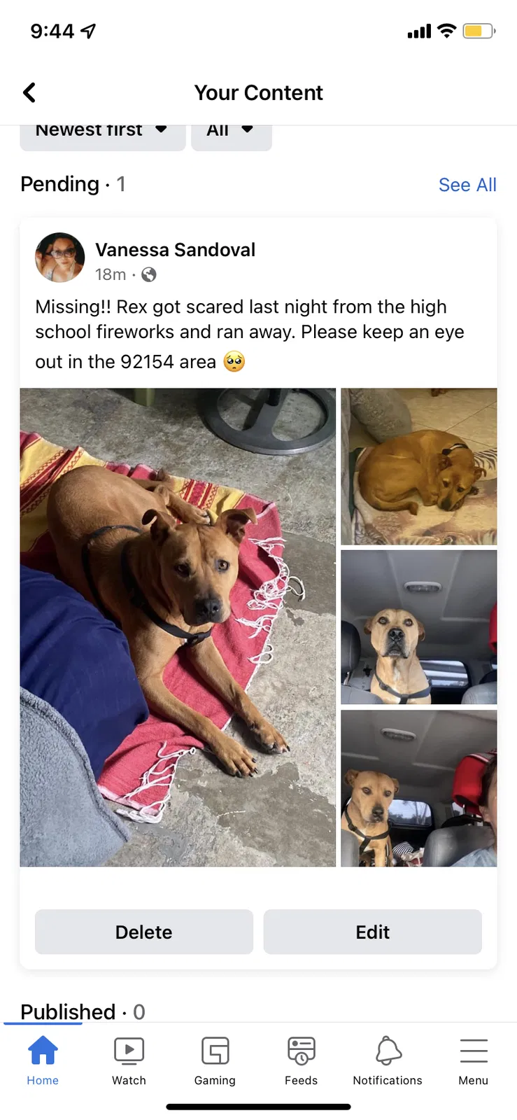 Lost dog in San Diego, CA, 92154