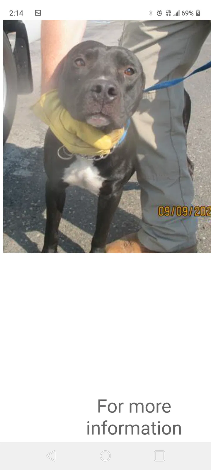 Lost dog in Oklahoma City, OK, 73119