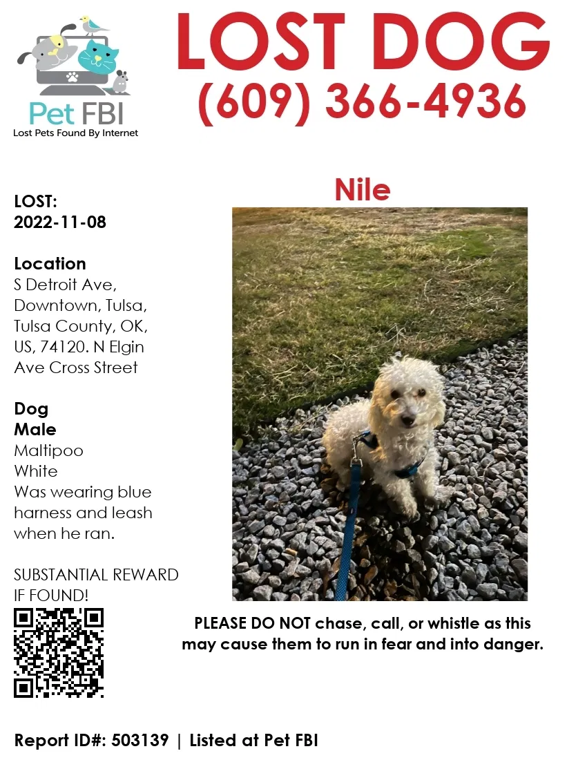 Lost dog in Tulsa, OK, 74127