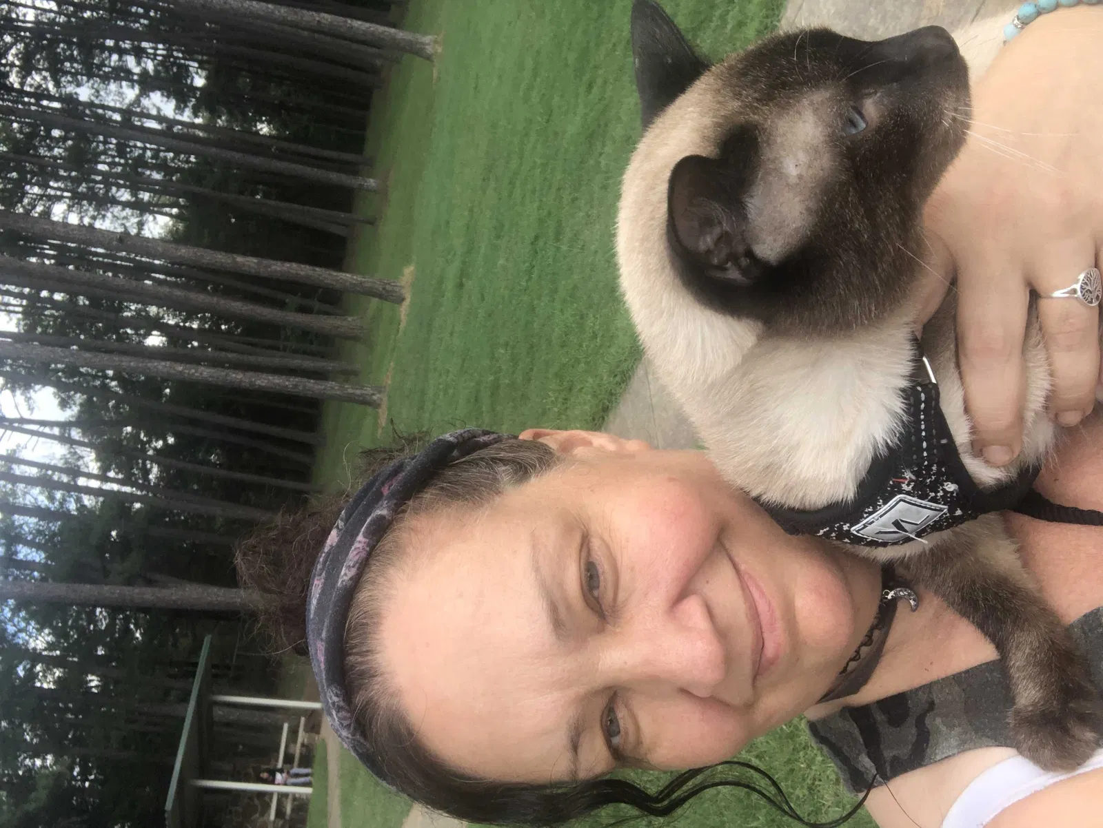 Lost cat in Springfield, MO, 65803