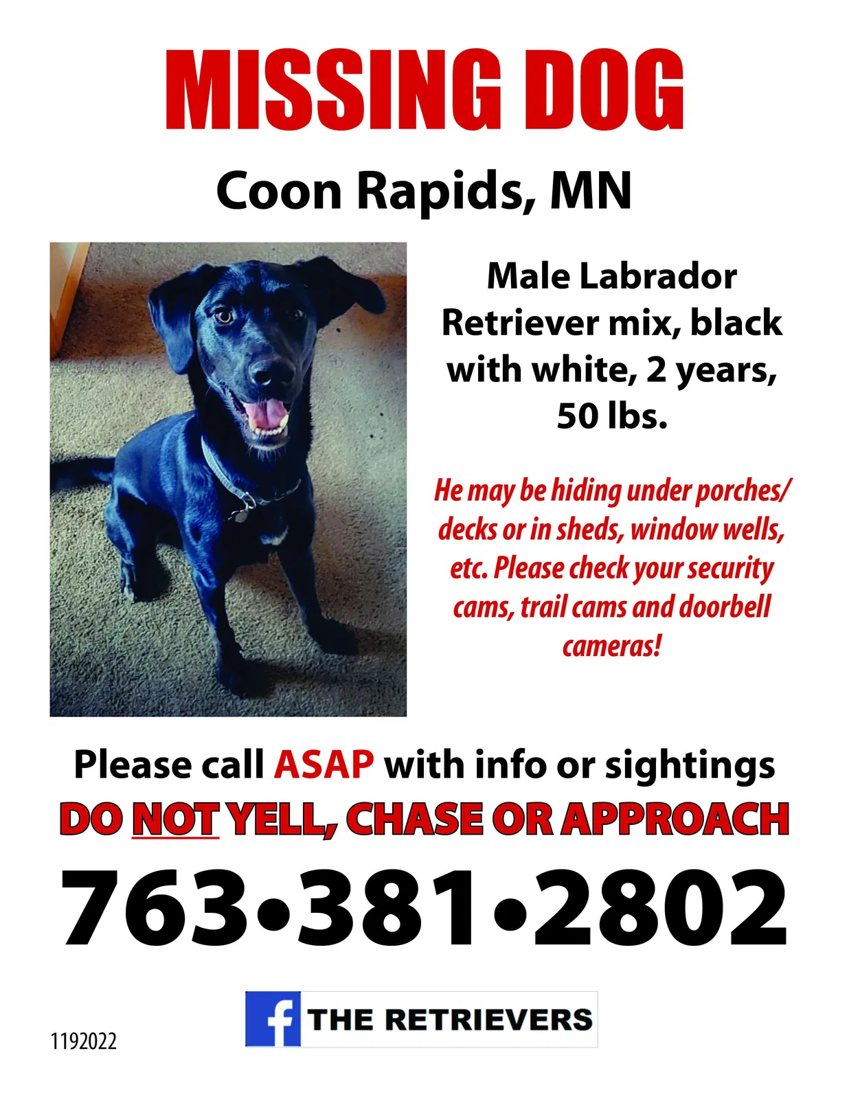 Lost dog in Minneapolis, MN, 55448