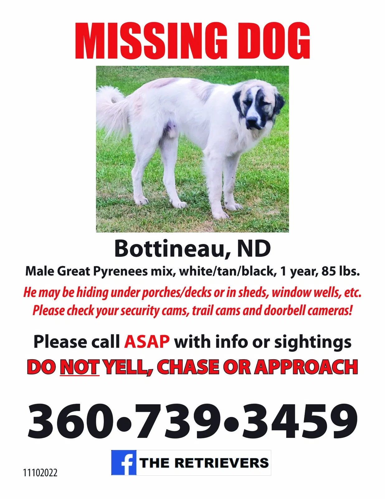 Lost dog in Bottineau, ND, 58318