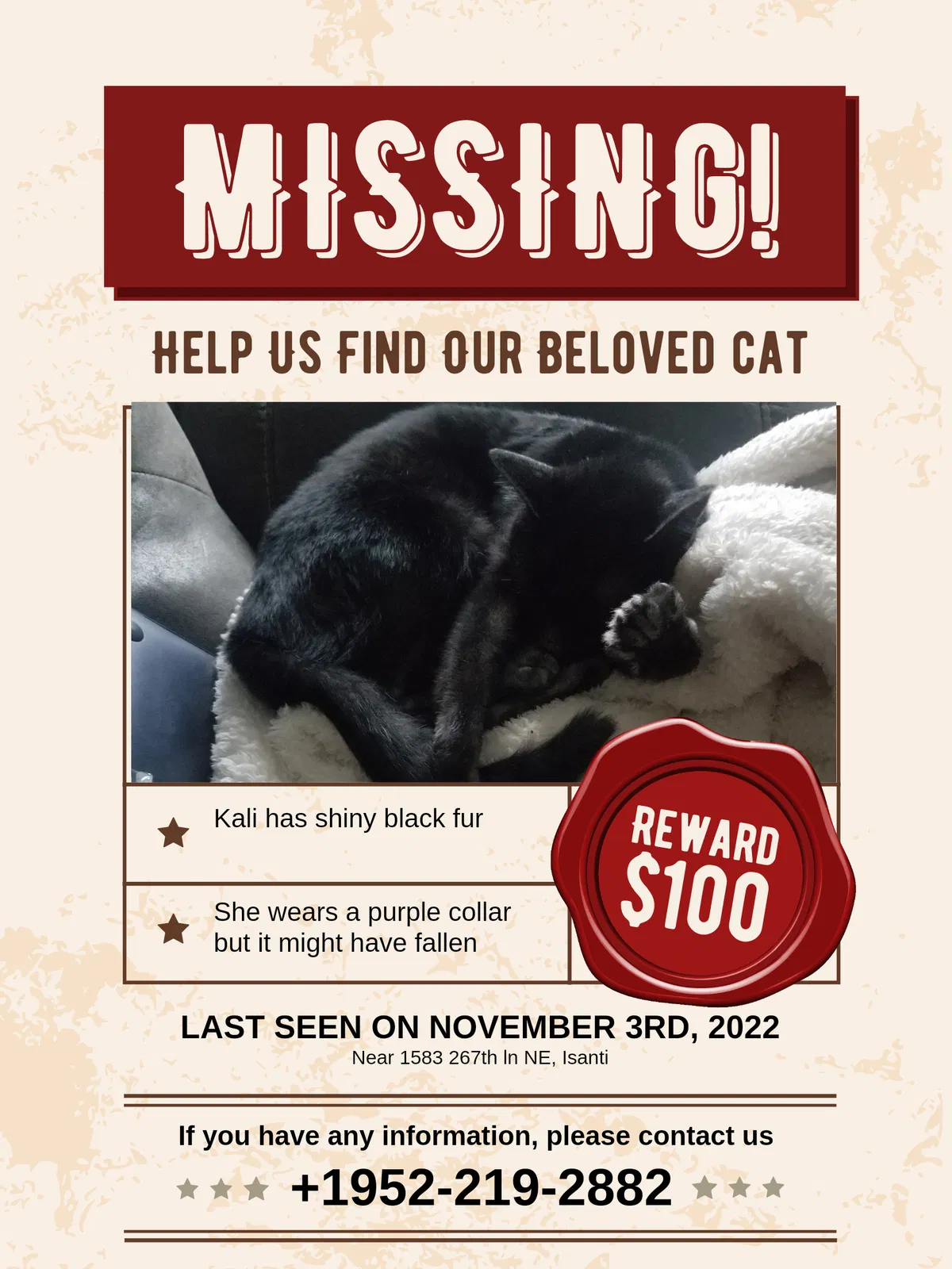 Lost cat in Isanti, MN, 55040