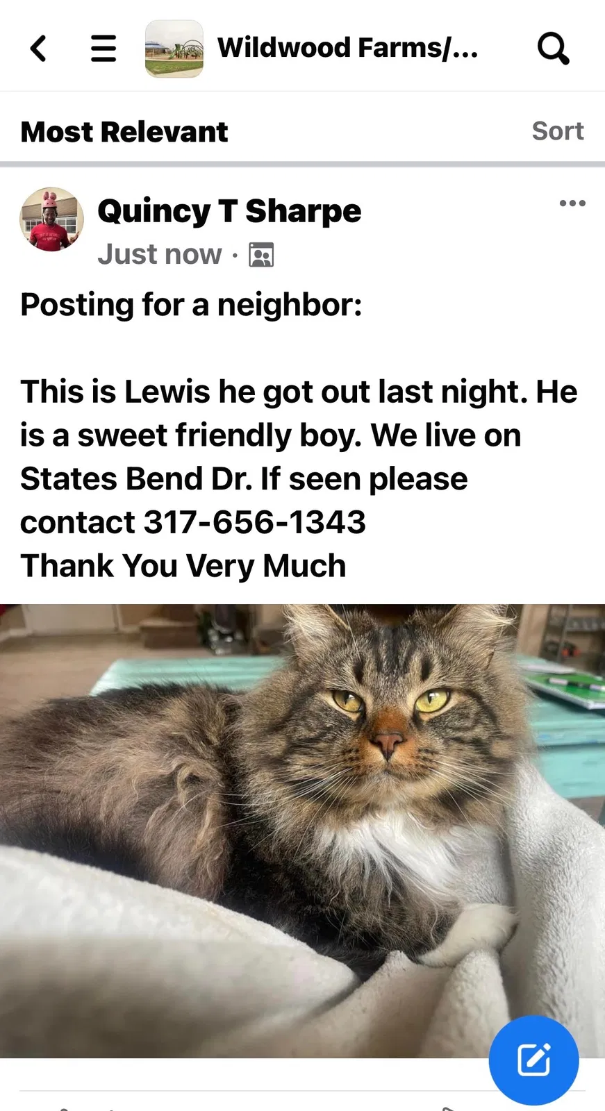 Lost cat in Indianapolis, IN, 46239