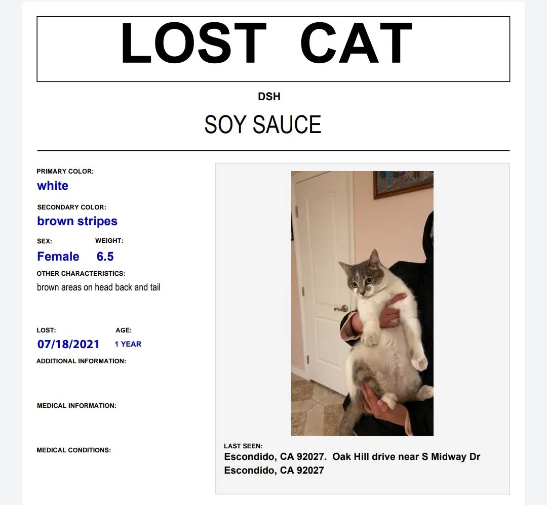 Lost cat in Escondido, CA, 92027