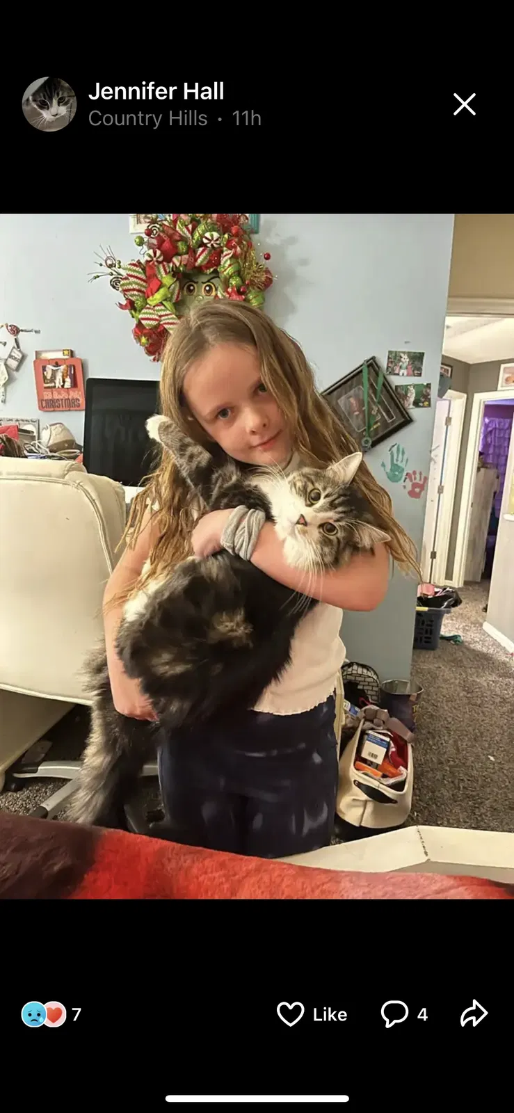 Lost cat in Thornton, CO, 80241