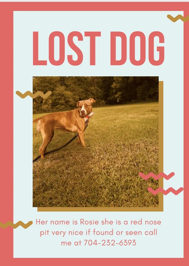 Lost dog in Salisbury, NC, 28144
