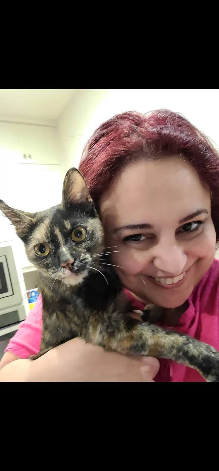 Lost cat in Redlands, CA, 92373