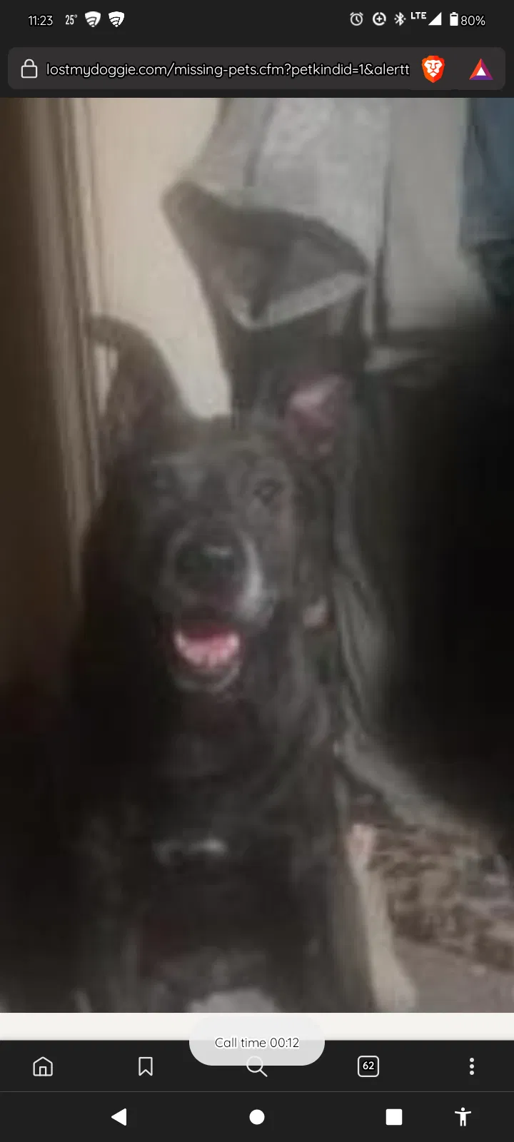Found dog in Sioux Falls, SD, 57104