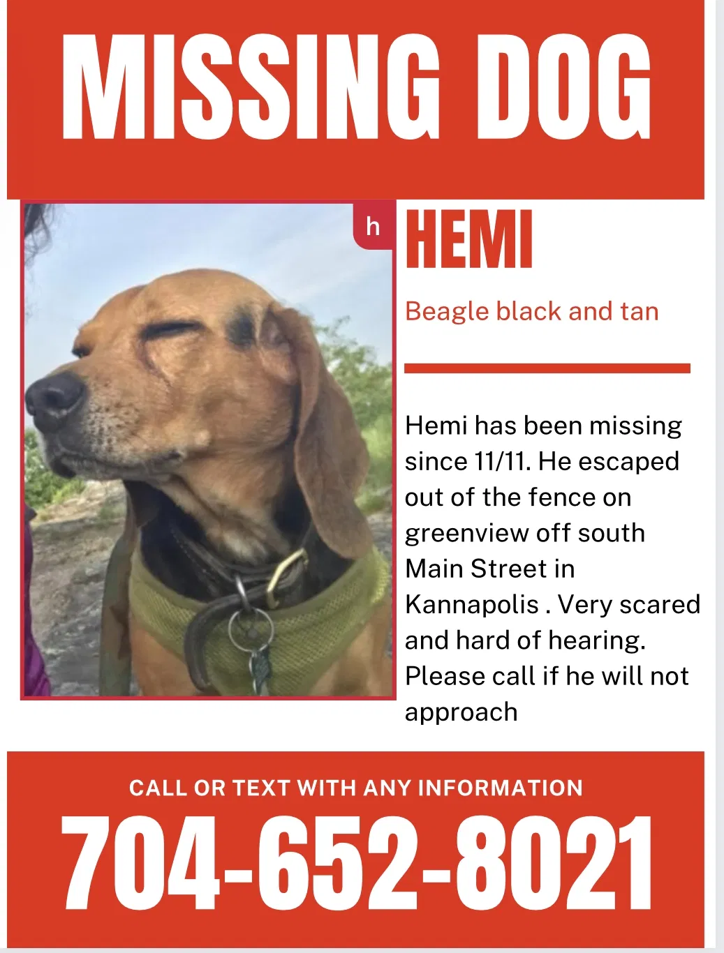 Lost dog in China Grove, NC, 28023