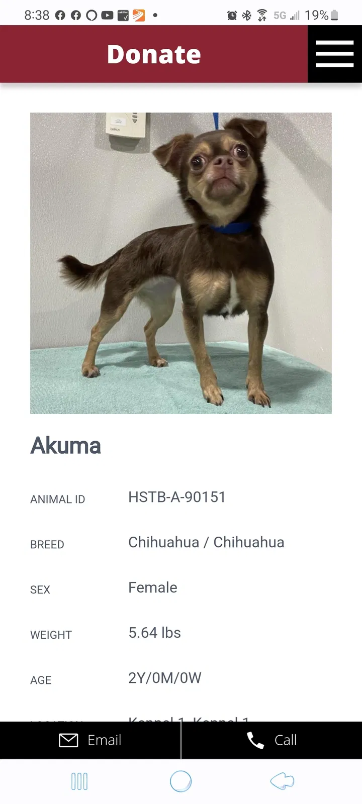 Lost dog in Sarasota, FL, 34239
