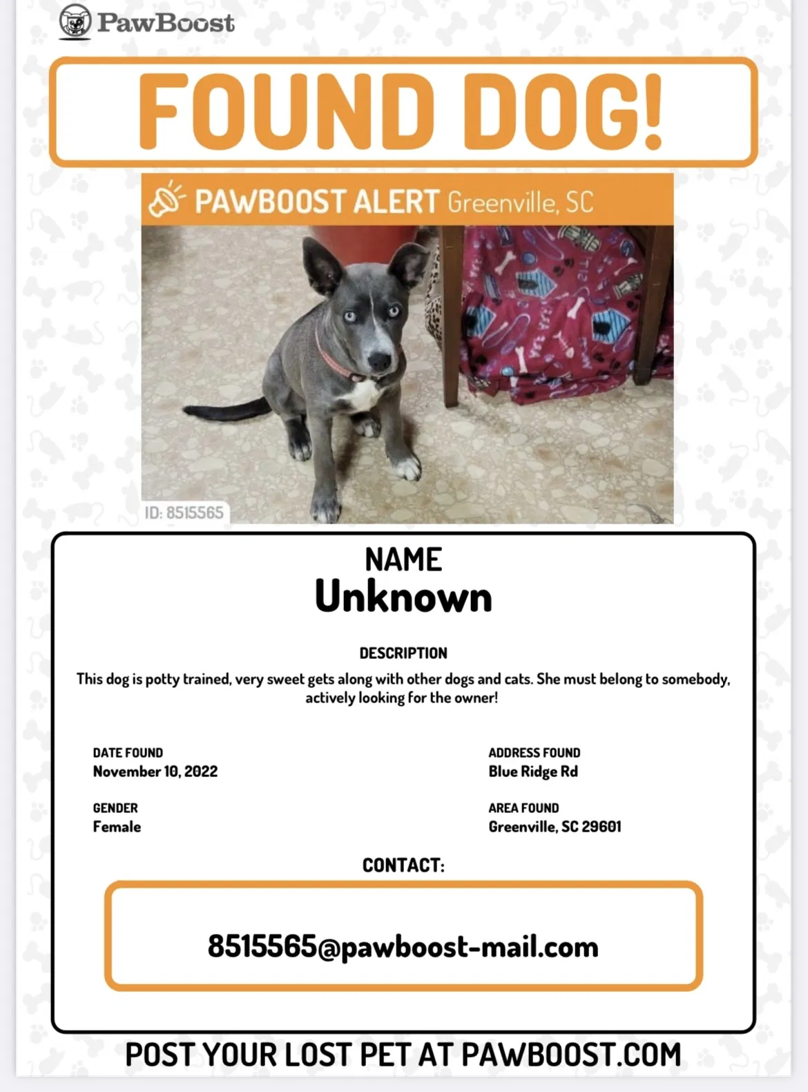 Found dog in Greenville, SC, 29611