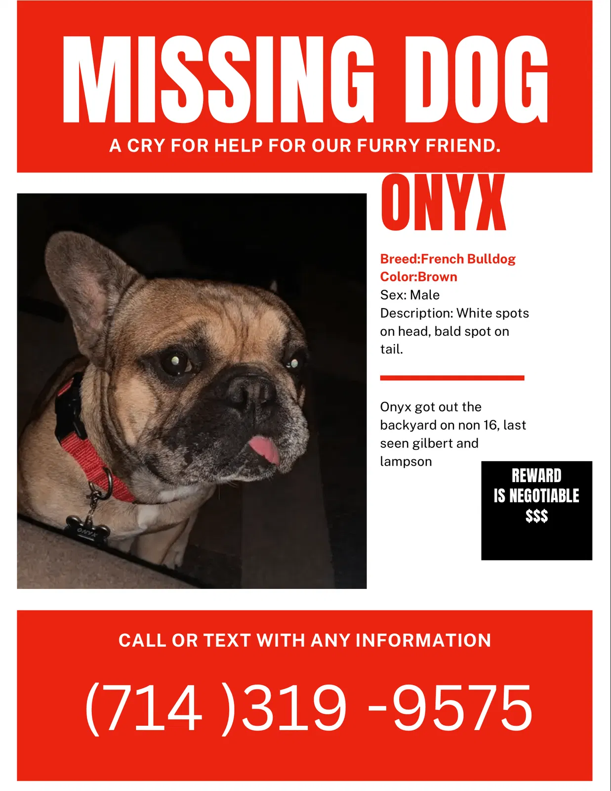 Lost dog in Garden Grove, CA, 92841