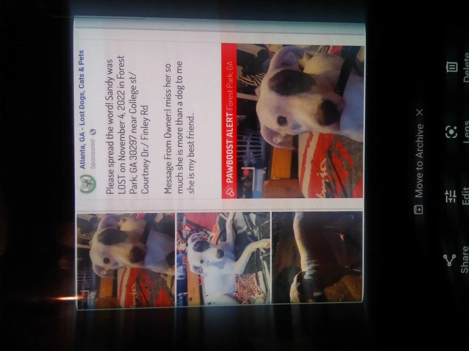Lost dog in Forest Park, GA, 30297
