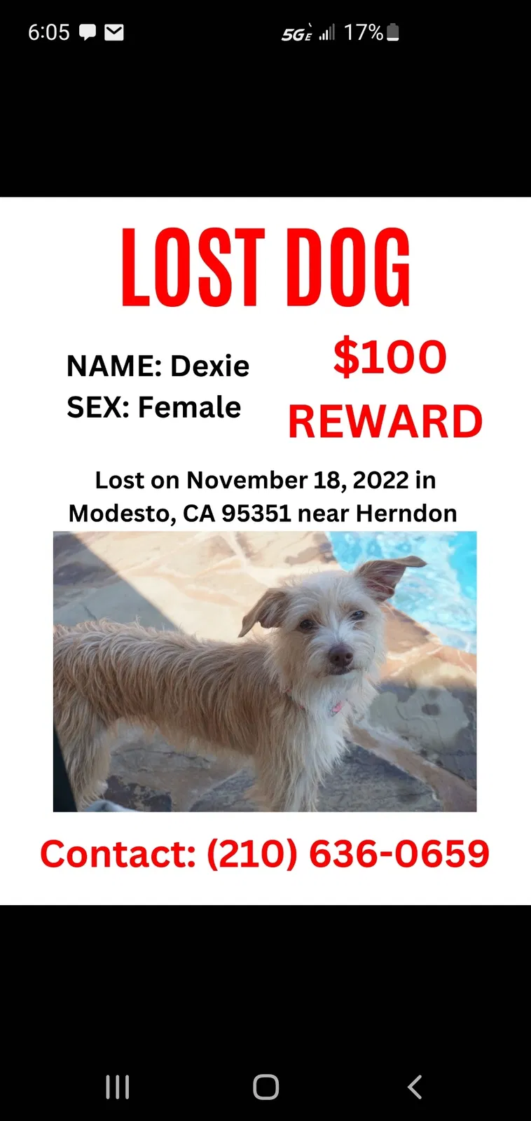Lost dog in Modesto, CA, 95351