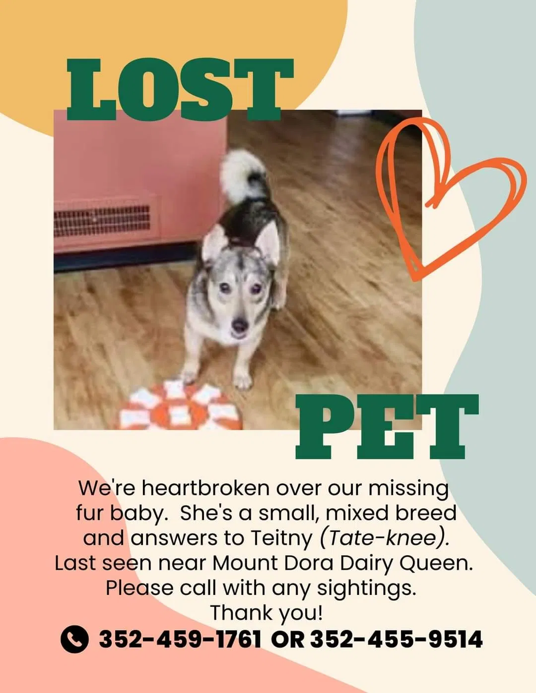 Lost dog in Mount Dora, FL, 32757