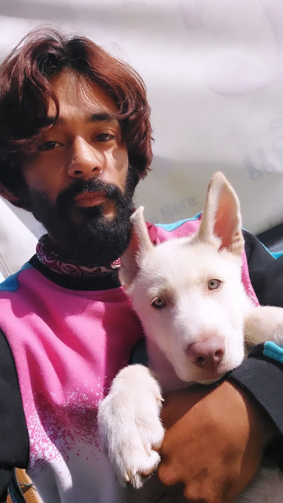 Lost dog in Los Angeles, CA, 90022