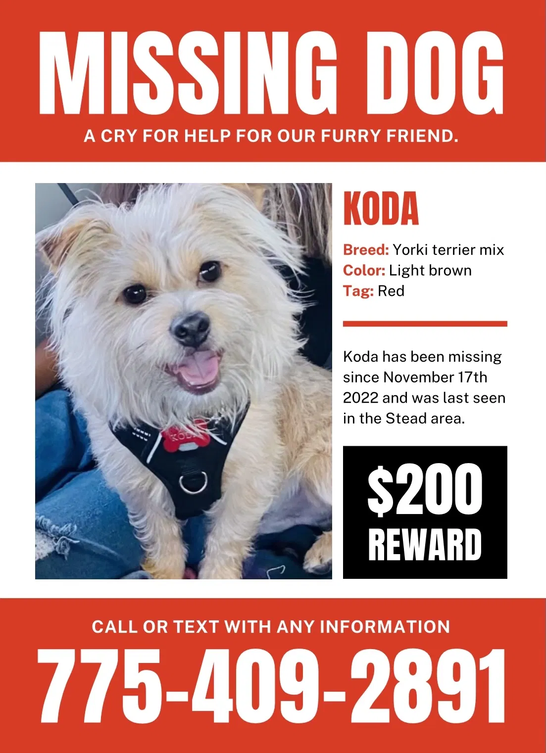 Lost dog in Reno, NV, 89506